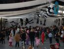 kindermaskenball2015